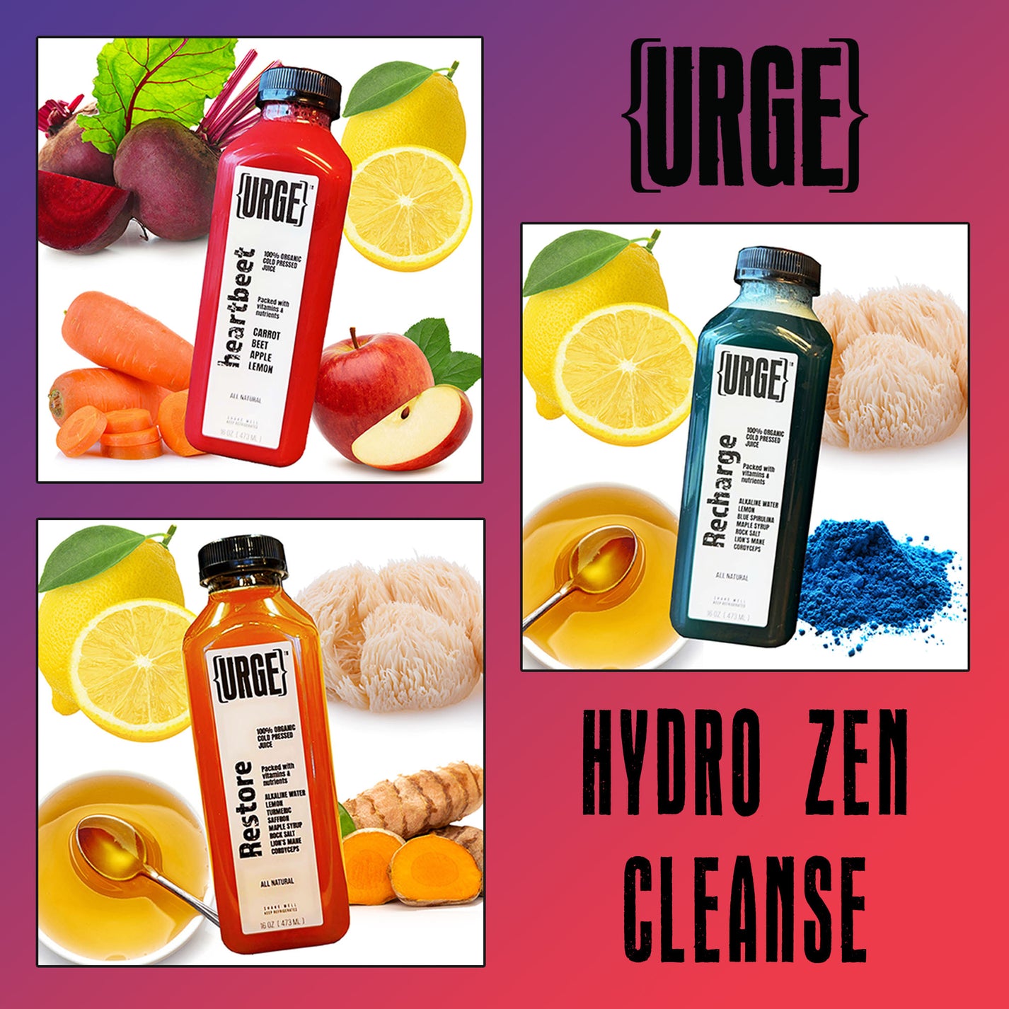 HydroZEN Cleanse 18Pack URGE Juice and Kitchen